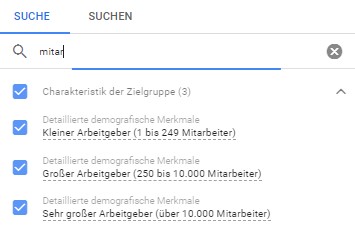 Ein Screenshot der Einstellungen der Charakteristik der Zielgruppe bei Google Ads B2B Kampagnen